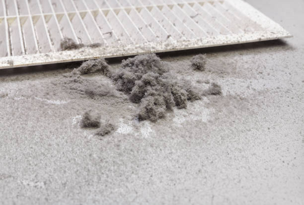 Professional Airduct Cleaning in LA