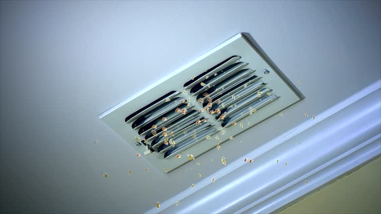 Best Dryer Vent Cleaning Services  in Rosepine, LA