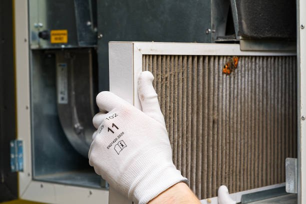 Best Emergency Air Duct Cleaning  in Rosepine, LA